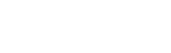 Novecore Professional Services logo